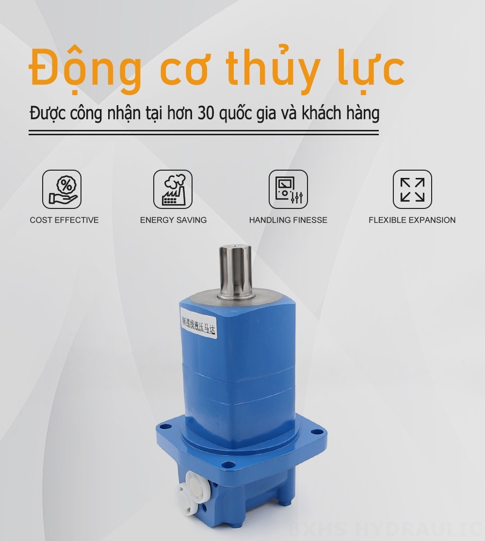 Mô-tơ thủy lực Cycloid BM5 80 cc/vòng 75 L/phút Mô tơ thủy lực